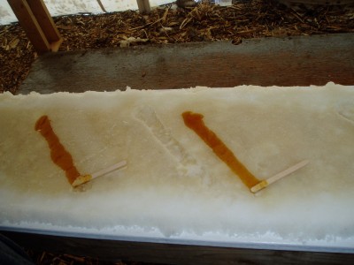 We had to make our own Maple Candy Cones .. they pour Hot Maple sugar syrop on a bed of snow ice and attach a popsicle stick Mmmm